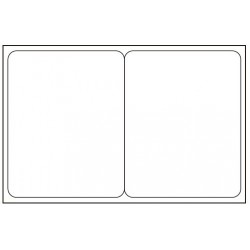 2 cartes PVC 43x54 mm sécables