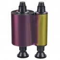 Ruban couleur YMCKO EVOLIS R3011